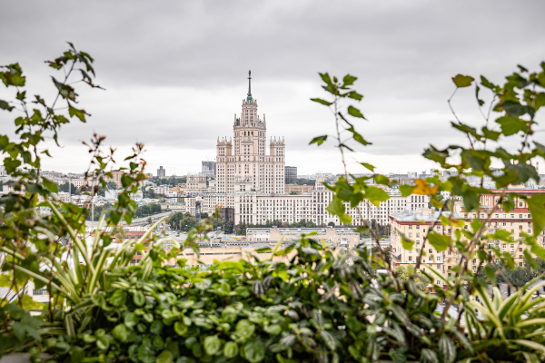 Площадки Карлсон