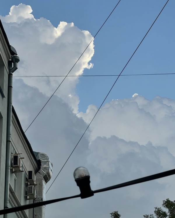 Цветотерапия в Alina Pinsky Gallery, «День Д»