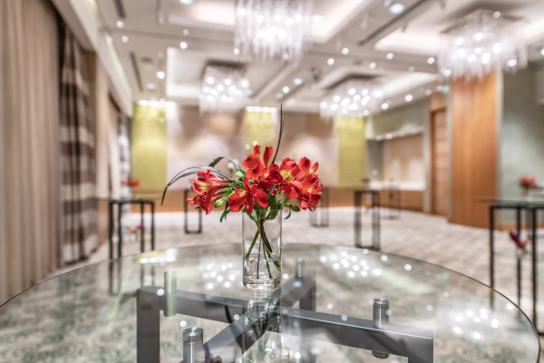 Площадки Swissôtel Красные Холмы