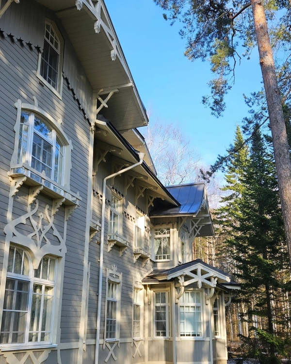 Как дома, только лучше: новогодние программы в
