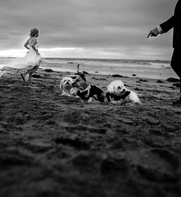 California Dreamin: Lyz + Jeremiah